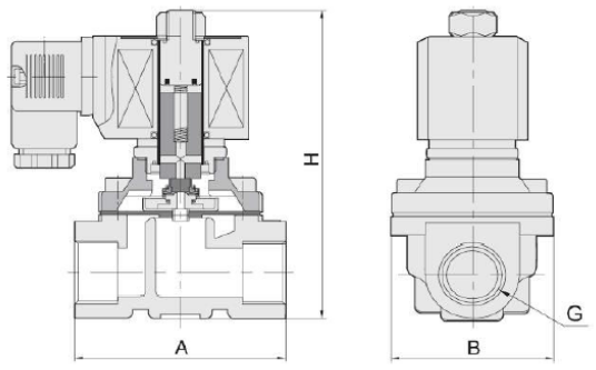 Клапан электромагнитный SMART SF6252 - 3